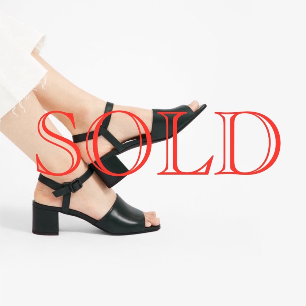 Everlane Block Heel Sandal